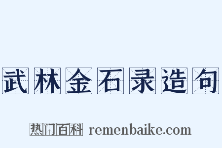 武林金石录造句是什么意思的图片